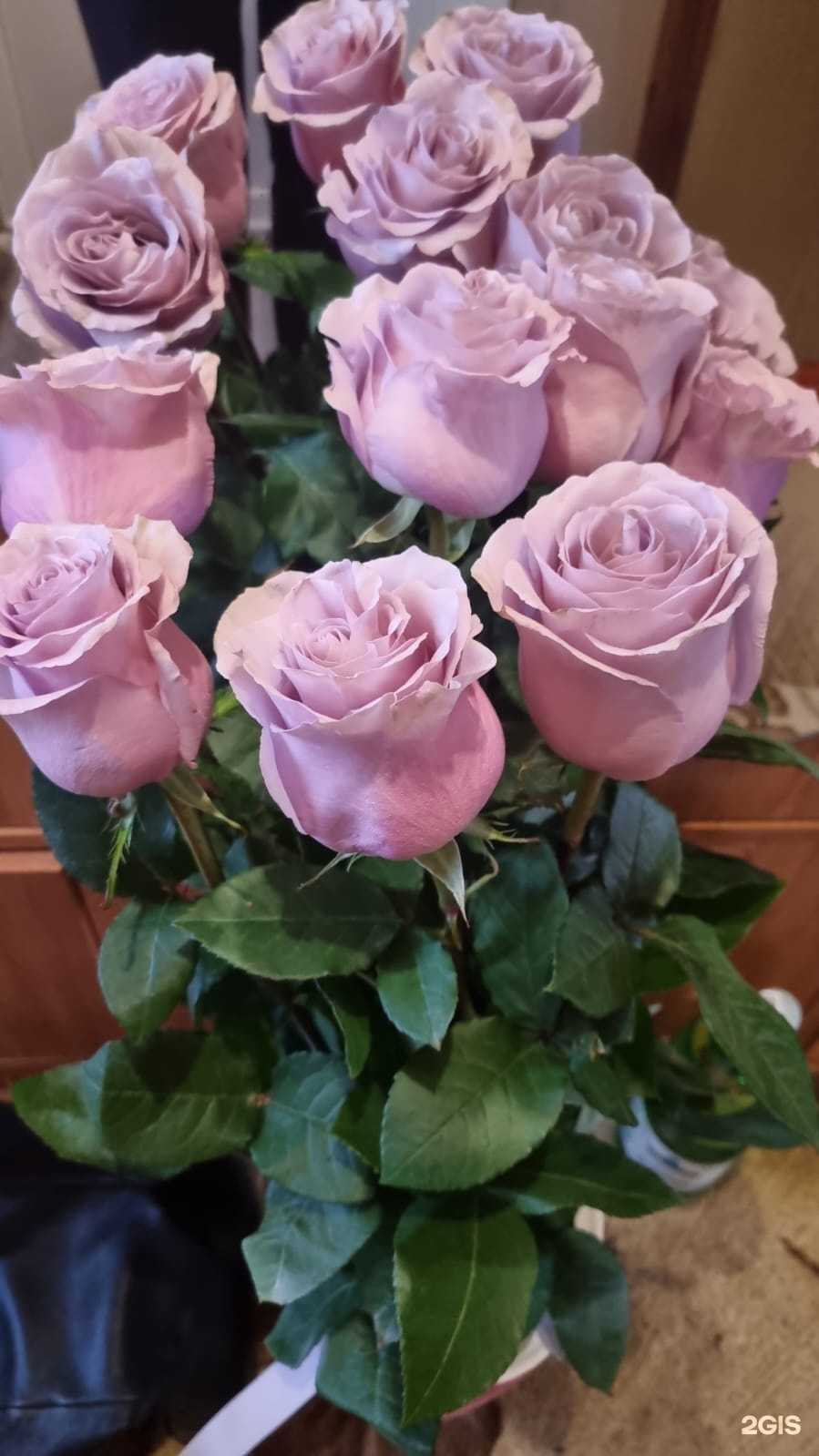 Отзывы на компанию Jasmin в г. Оренбург c фото