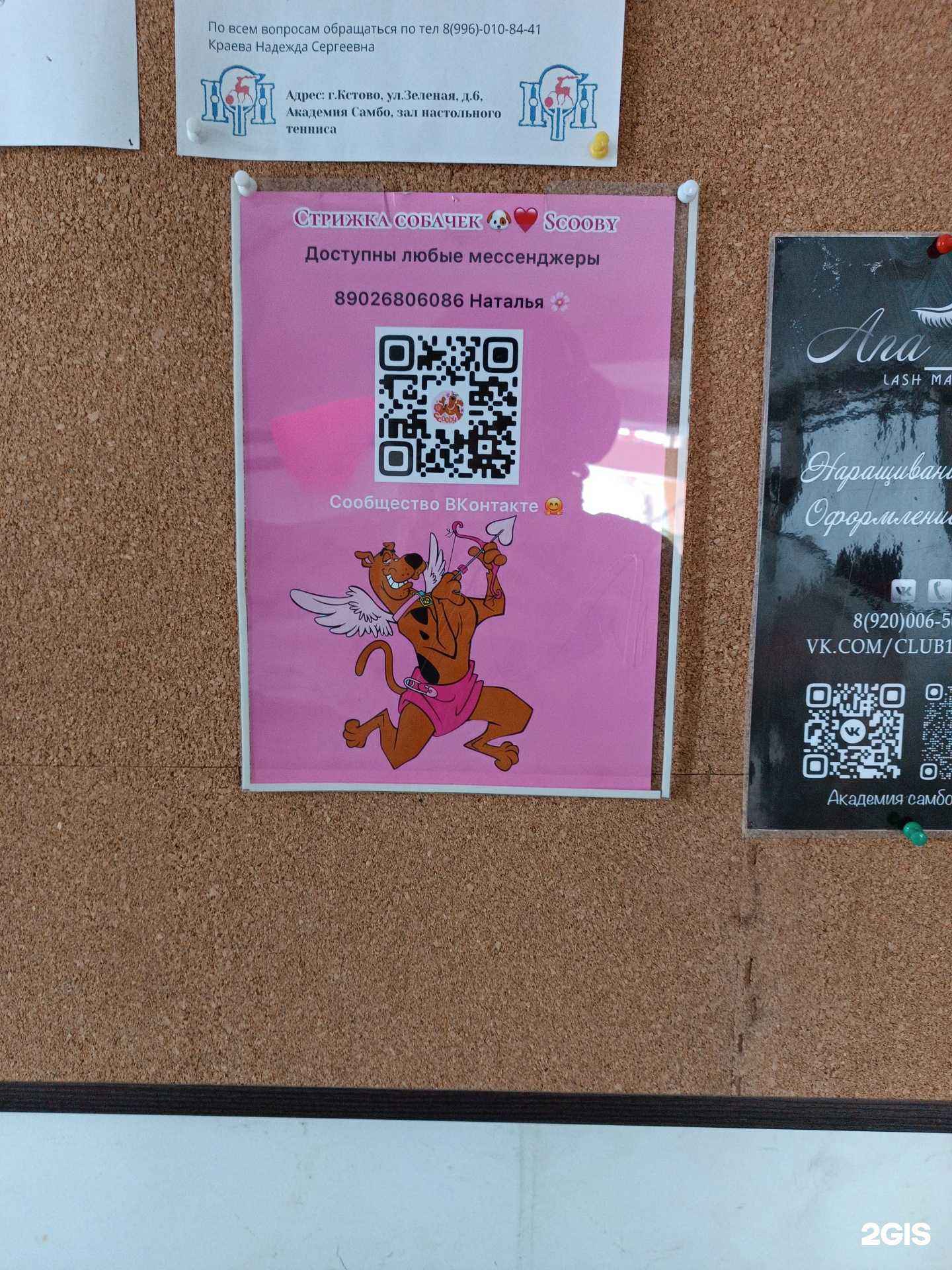 Отзывы на компанию Scooby в Кстове c фото