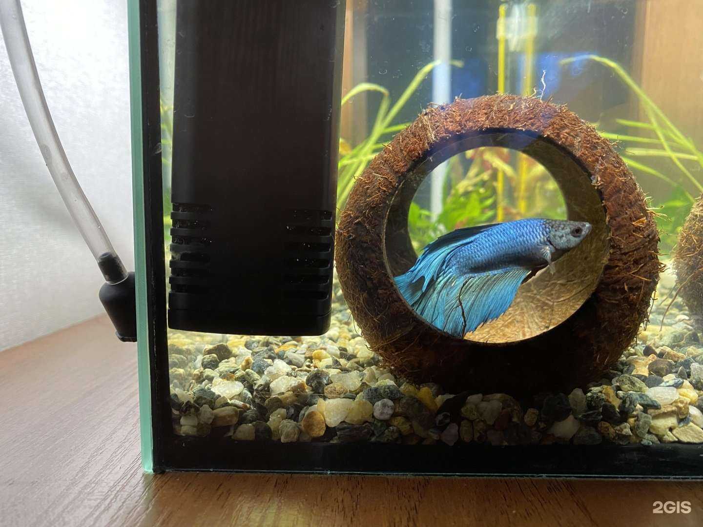 Отзывы на компанию Аквариаль в Екатеринбурге c фото