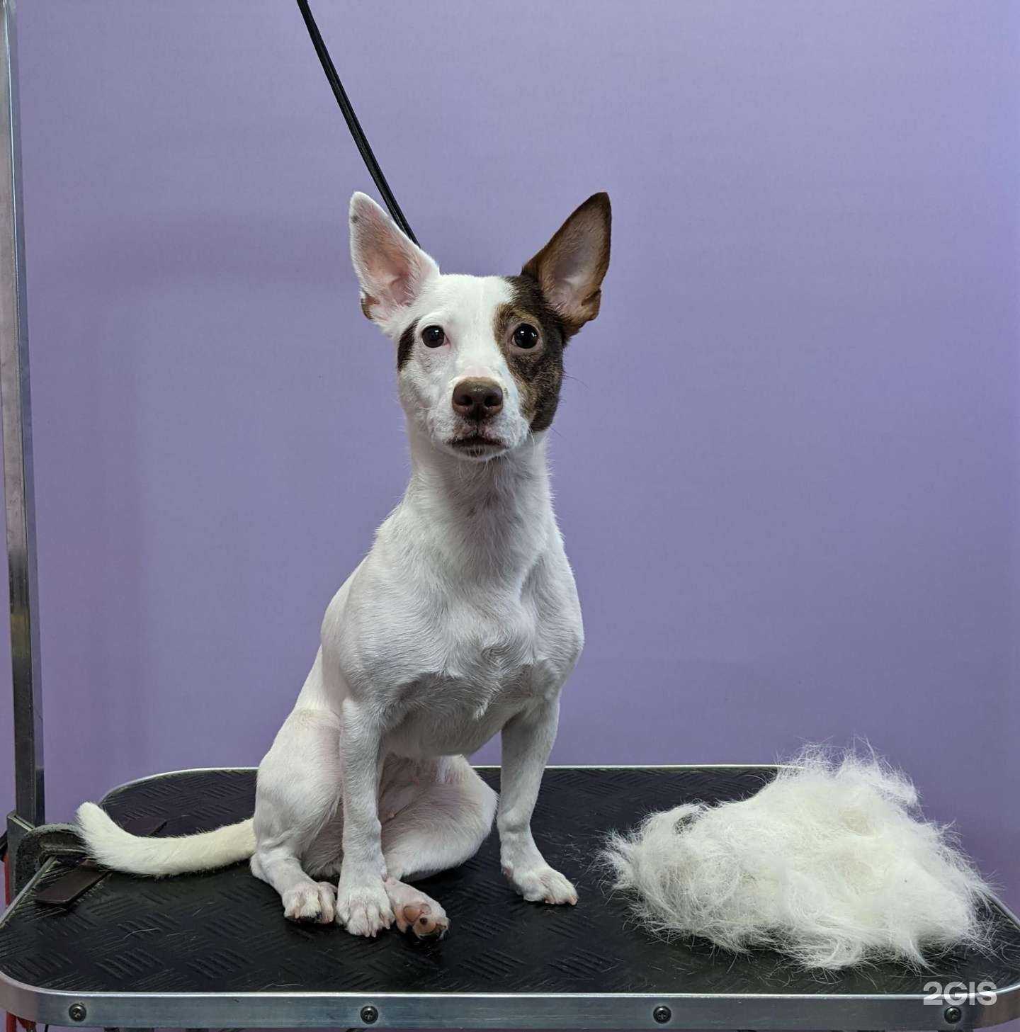 Отзывы на компанию Семицветик в Архангельске c фото