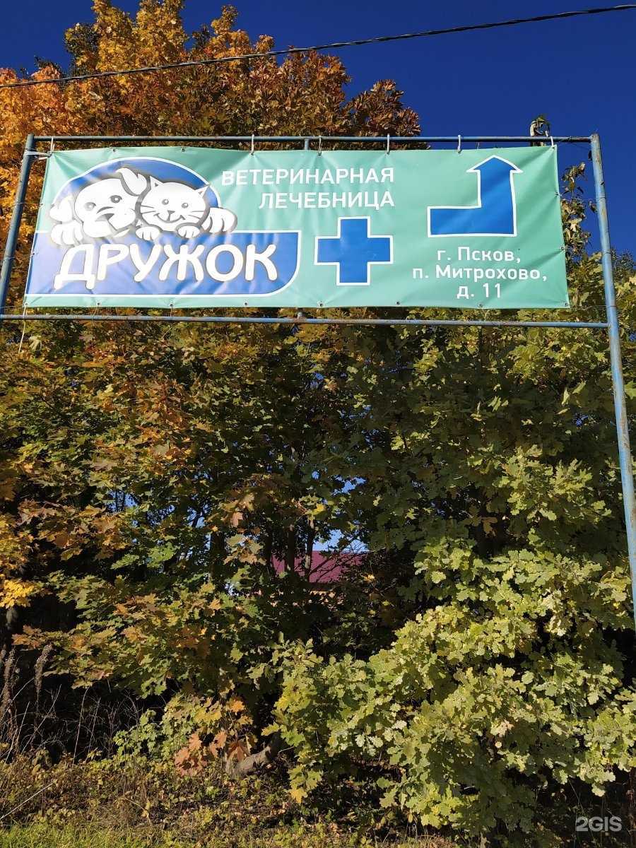 Отзывы на компанию Дружок в г. Псков c фото