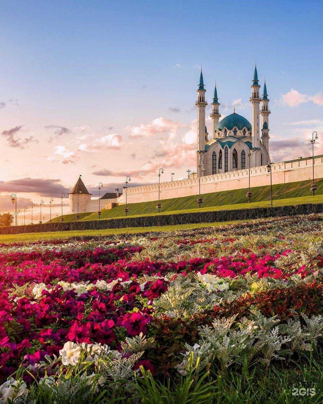 Отзывы на компанию Солнцетур в г. Иваново c фото