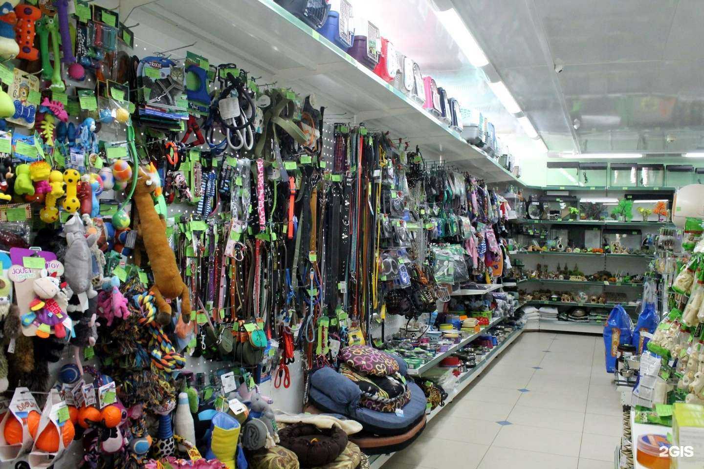 Отзывы на компанию ПланетаZoo в Смоленске c фото