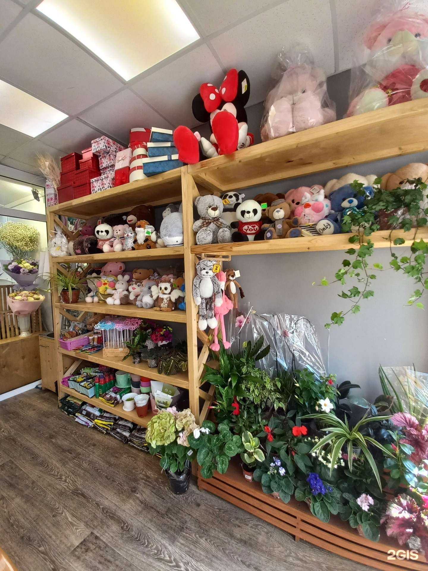 Отзывы на компанию Азалия в г. Краснодар c фото