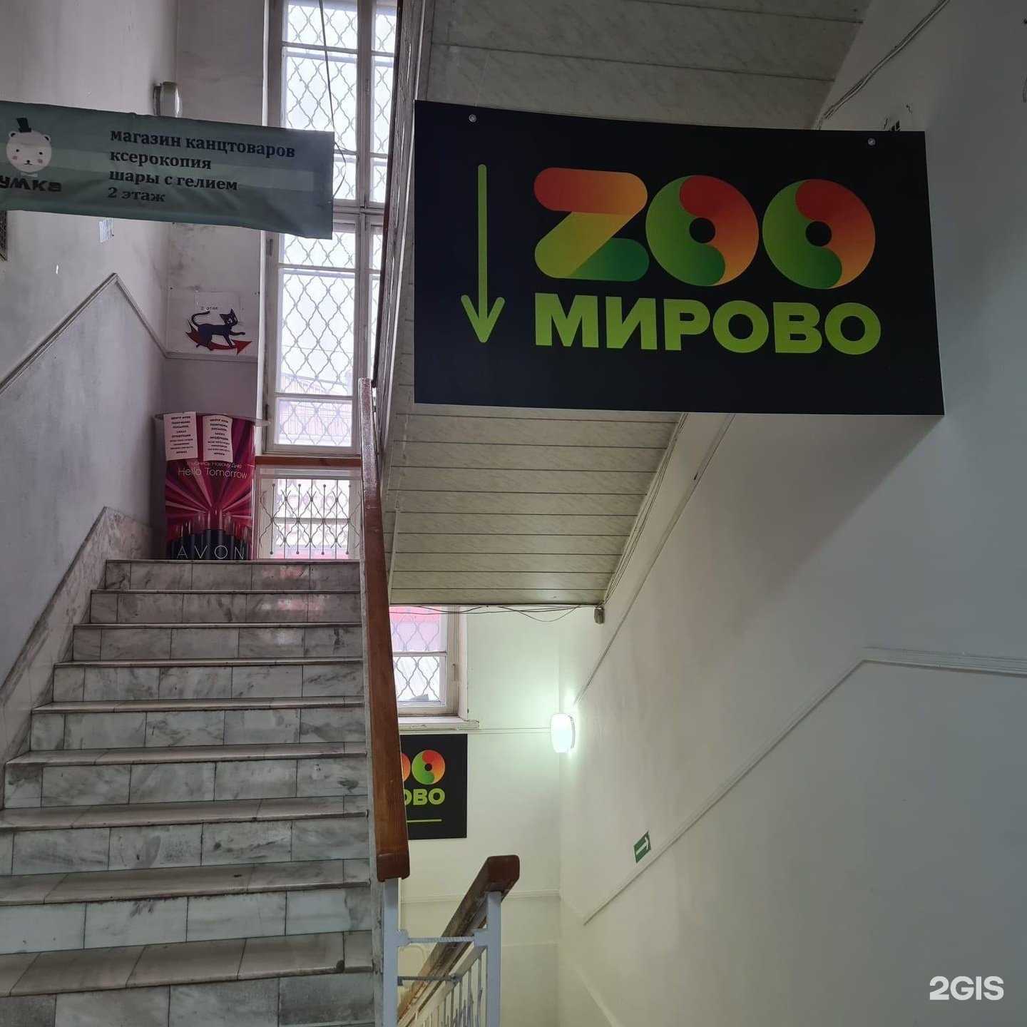 Отзывы на компанию Zooмирово в г. Бийск c фото