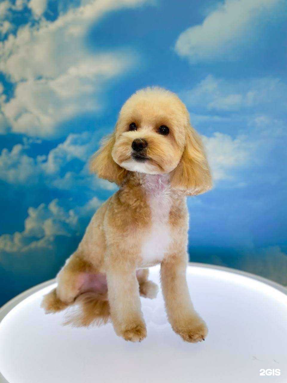 Отзывы на компанию БаБу в г. Реутов c фото