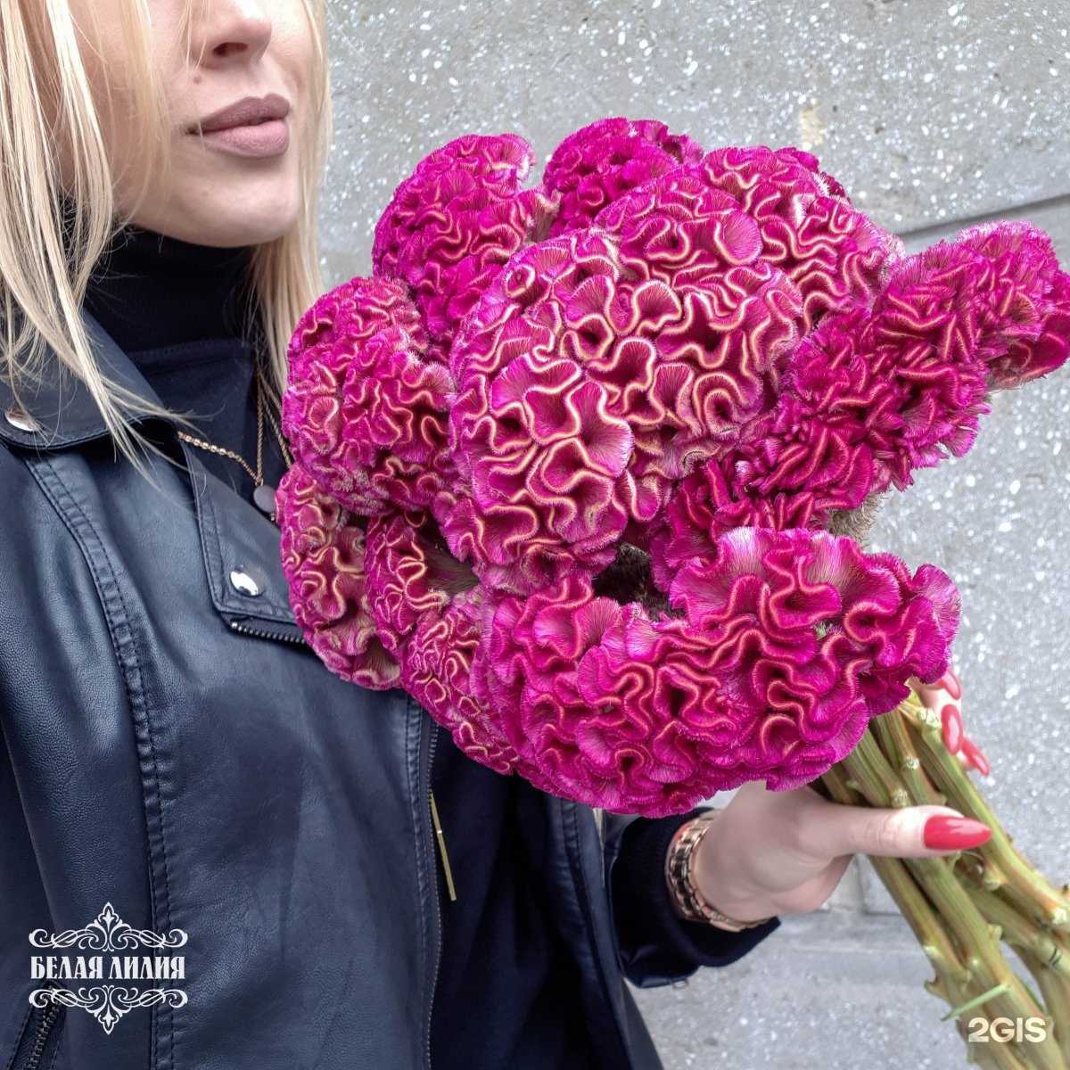 Отзывы на компанию Белая лилия в Магнитогорске c фото