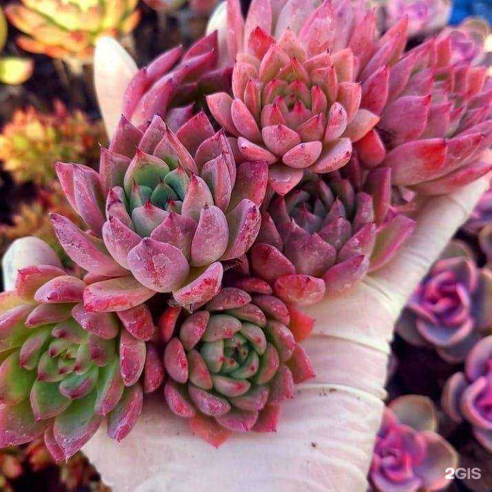 Отзывы на компанию Сделай сам в г. Волгоград c фото