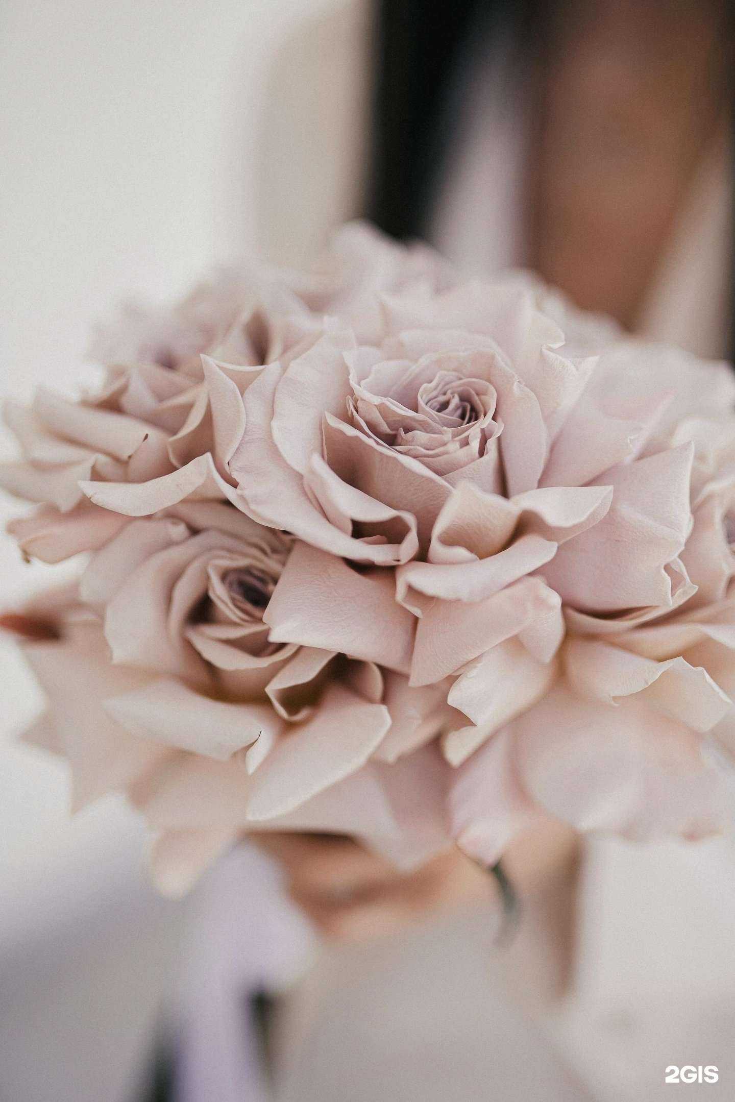 Отзывы на компанию Цветем и пахнем в Краснодаре c фото