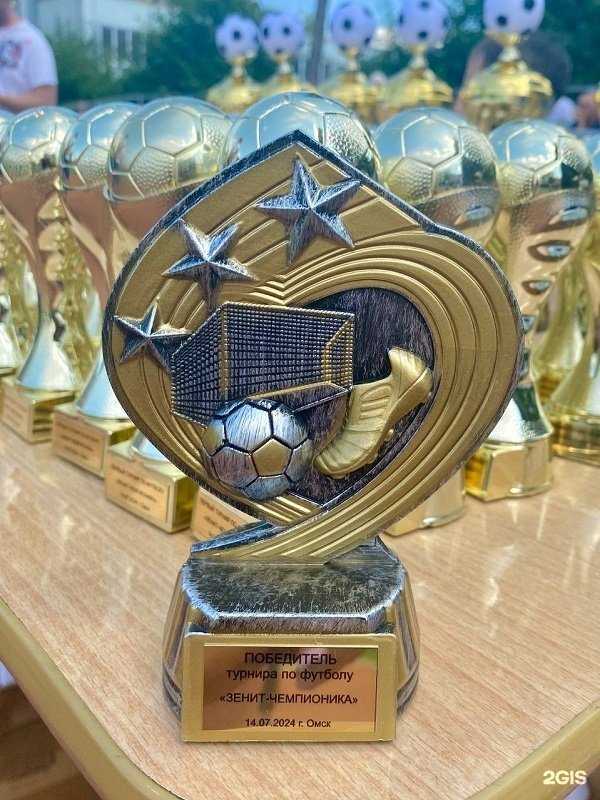 Отзывы на компанию Зенит-Чемпионика в Омске c фото