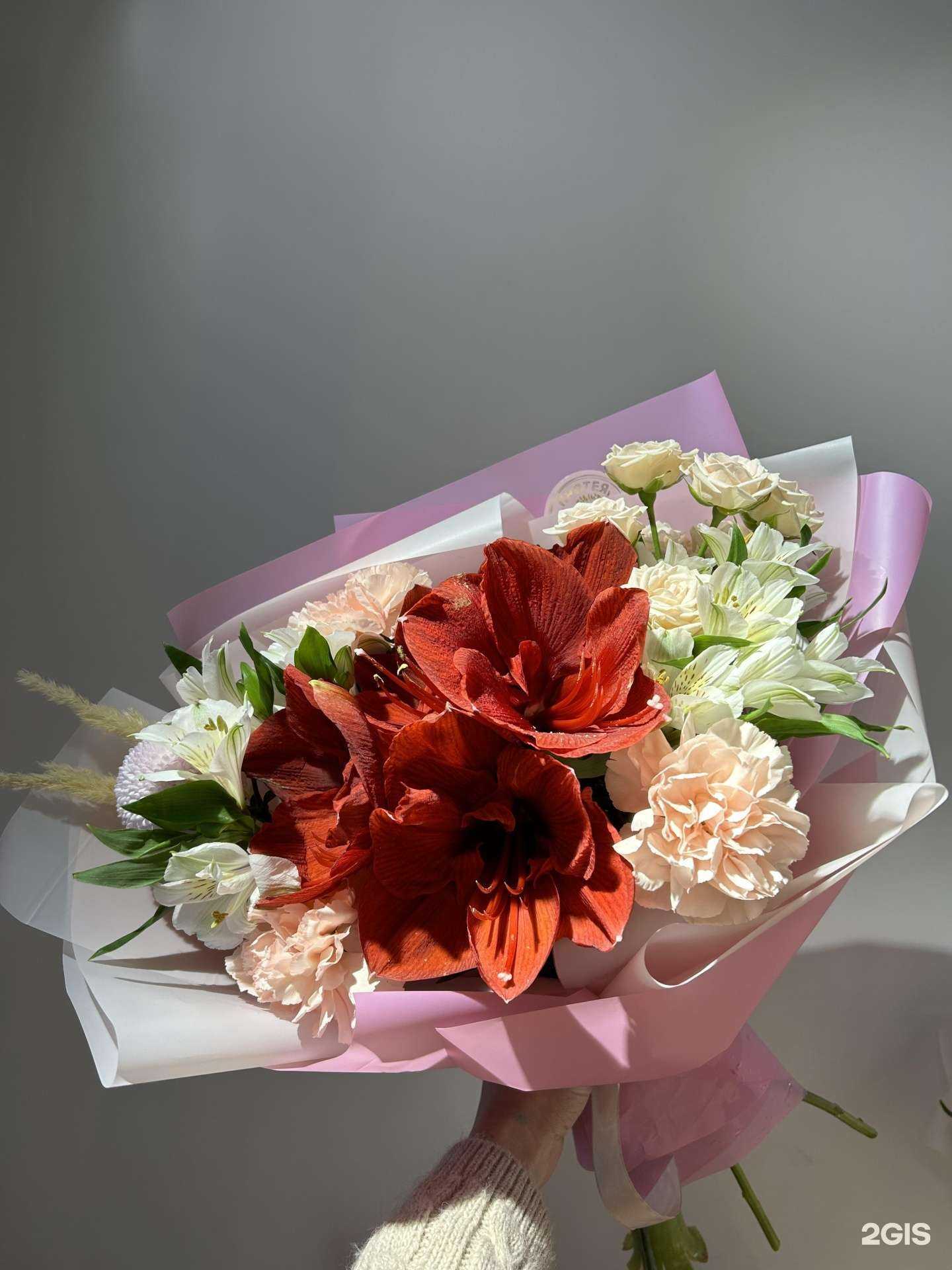 Отзывы на компанию Протея в Челябинске c фото