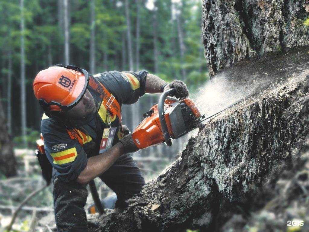 Отзывы на компанию Metabo & Husqvarna в г. Калининград c фото