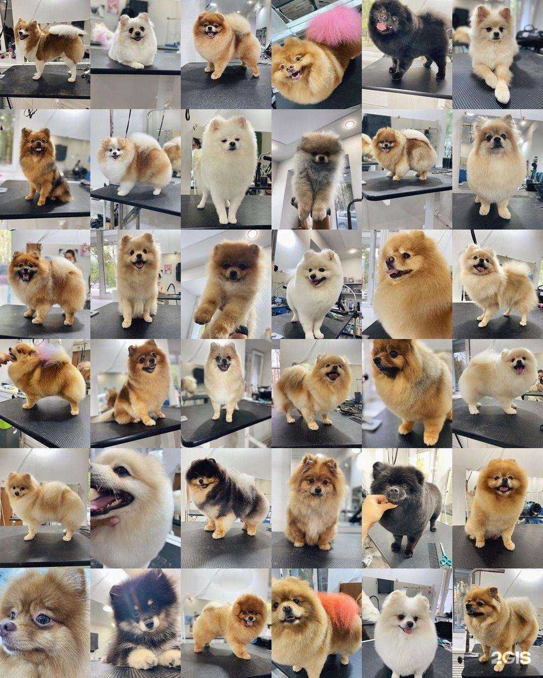 Отзывы на компанию L`ubimka в г. Сургут c фото