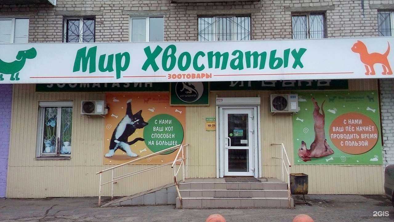 Отзывы на компанию Мир хвостатых в Перми c фото