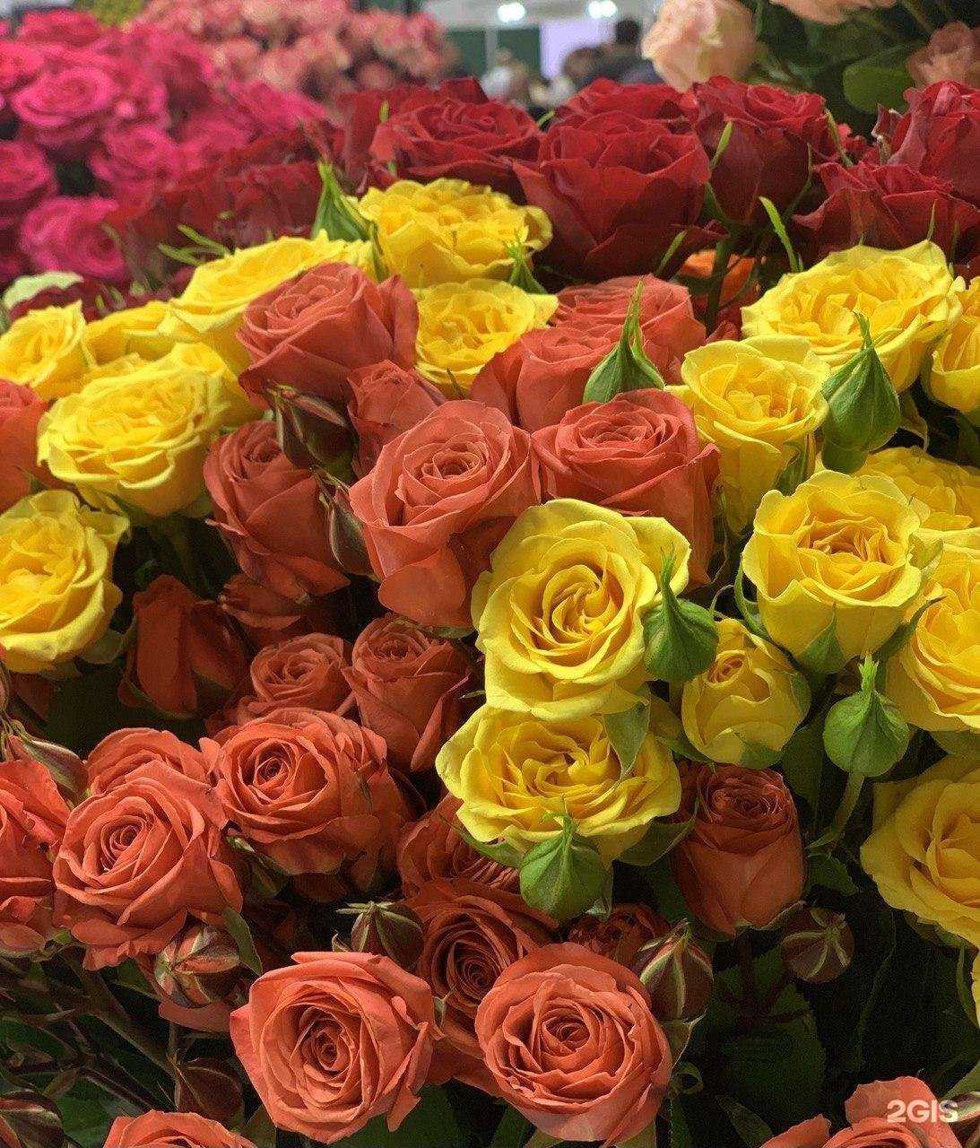 Отзывы на компанию Цветочный в г. Курган c фото