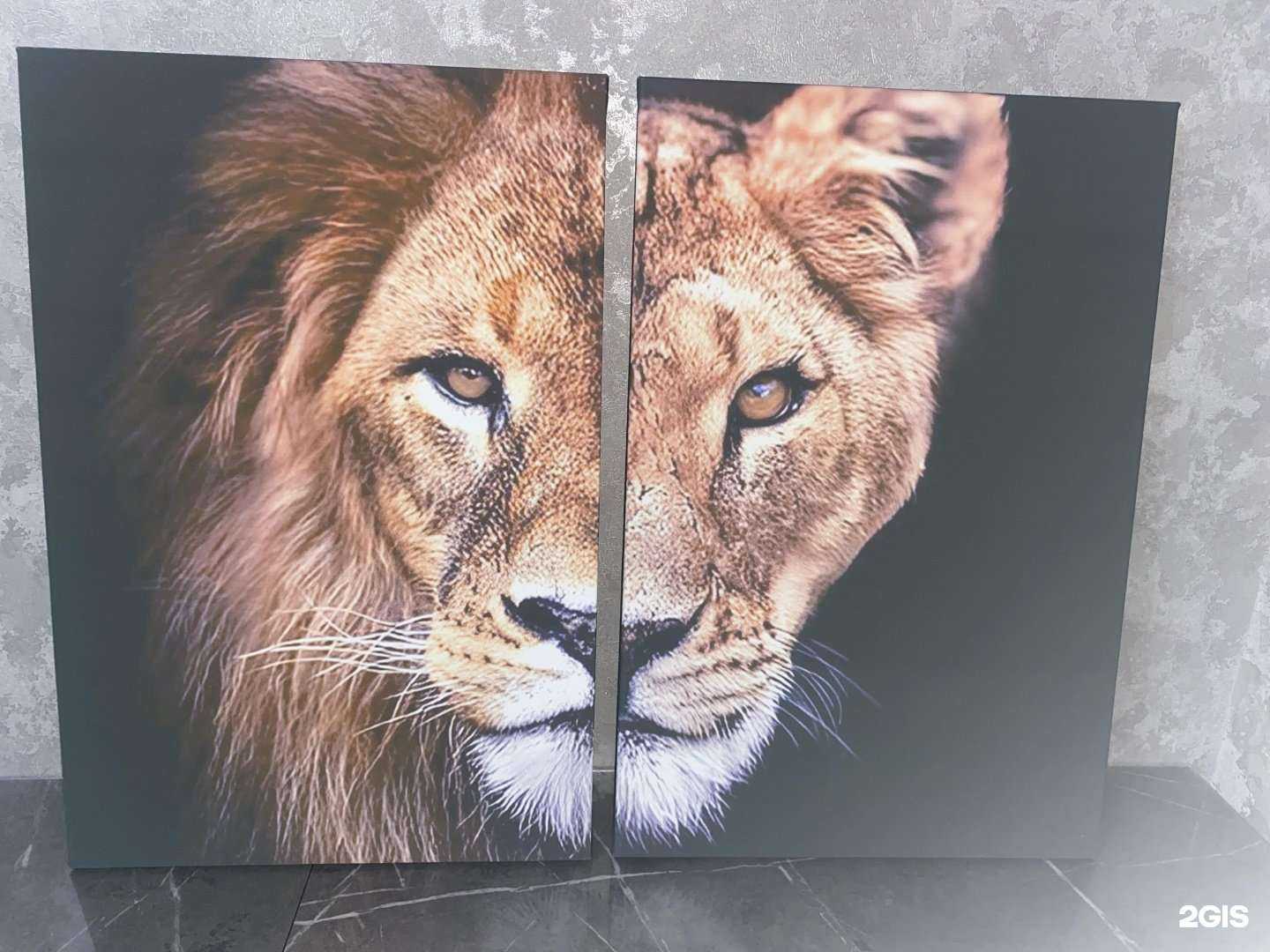 Отзывы на компанию Фото-Express в Нижневартовске c фото