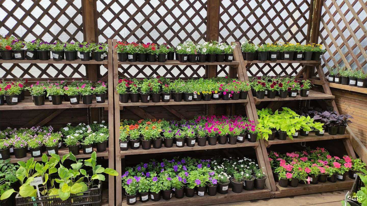 Отзывы на компанию Сады и люди в Ижевске c фото