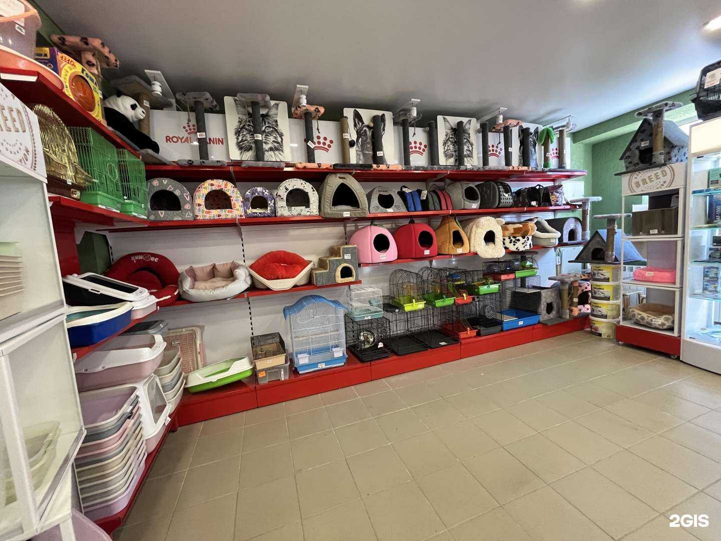 Отзывы на компанию Кот и пёс в г. Октябрьский c фото