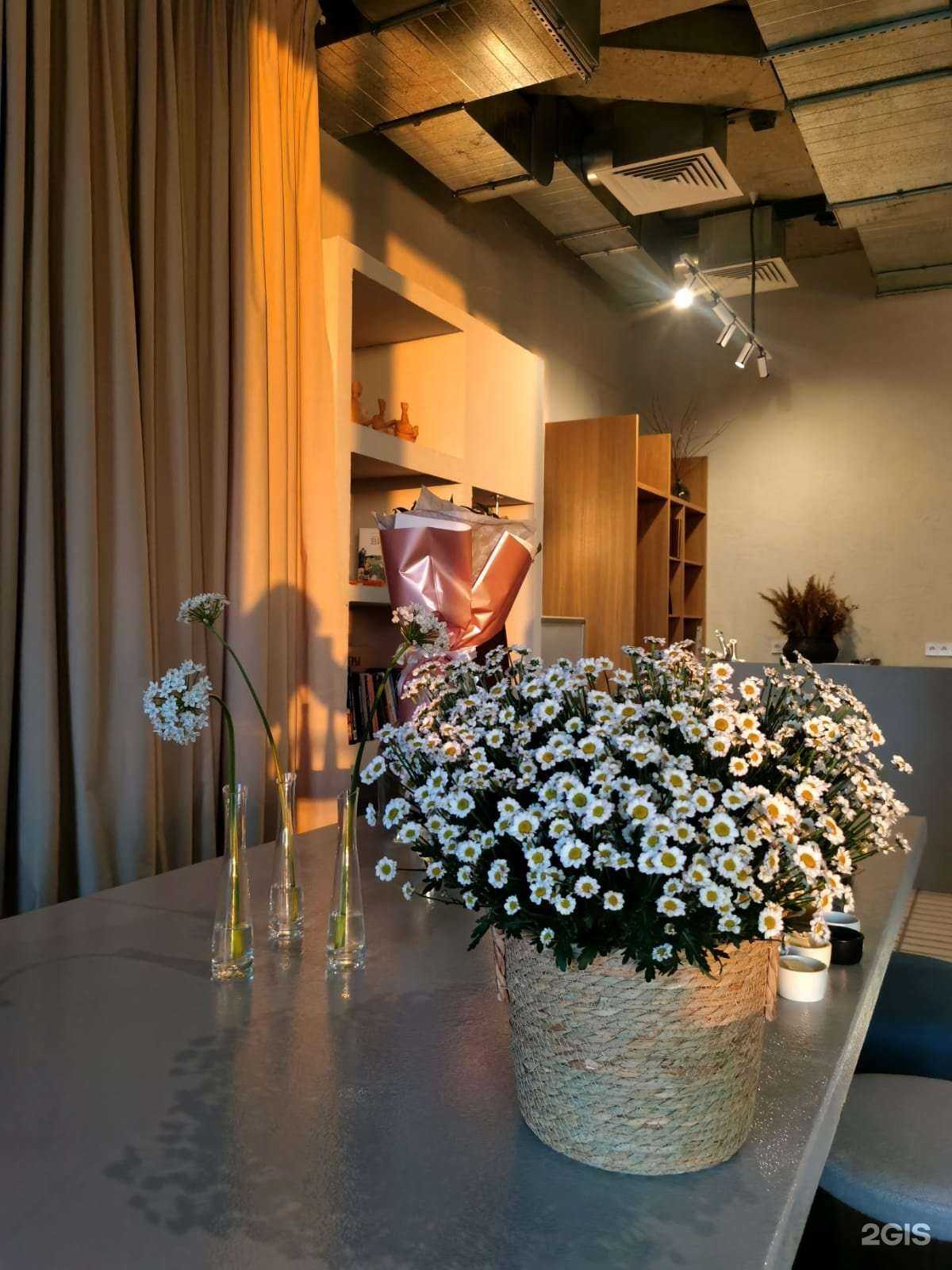 Отзывы на компанию Агар-Агар в Владивостоке c фото