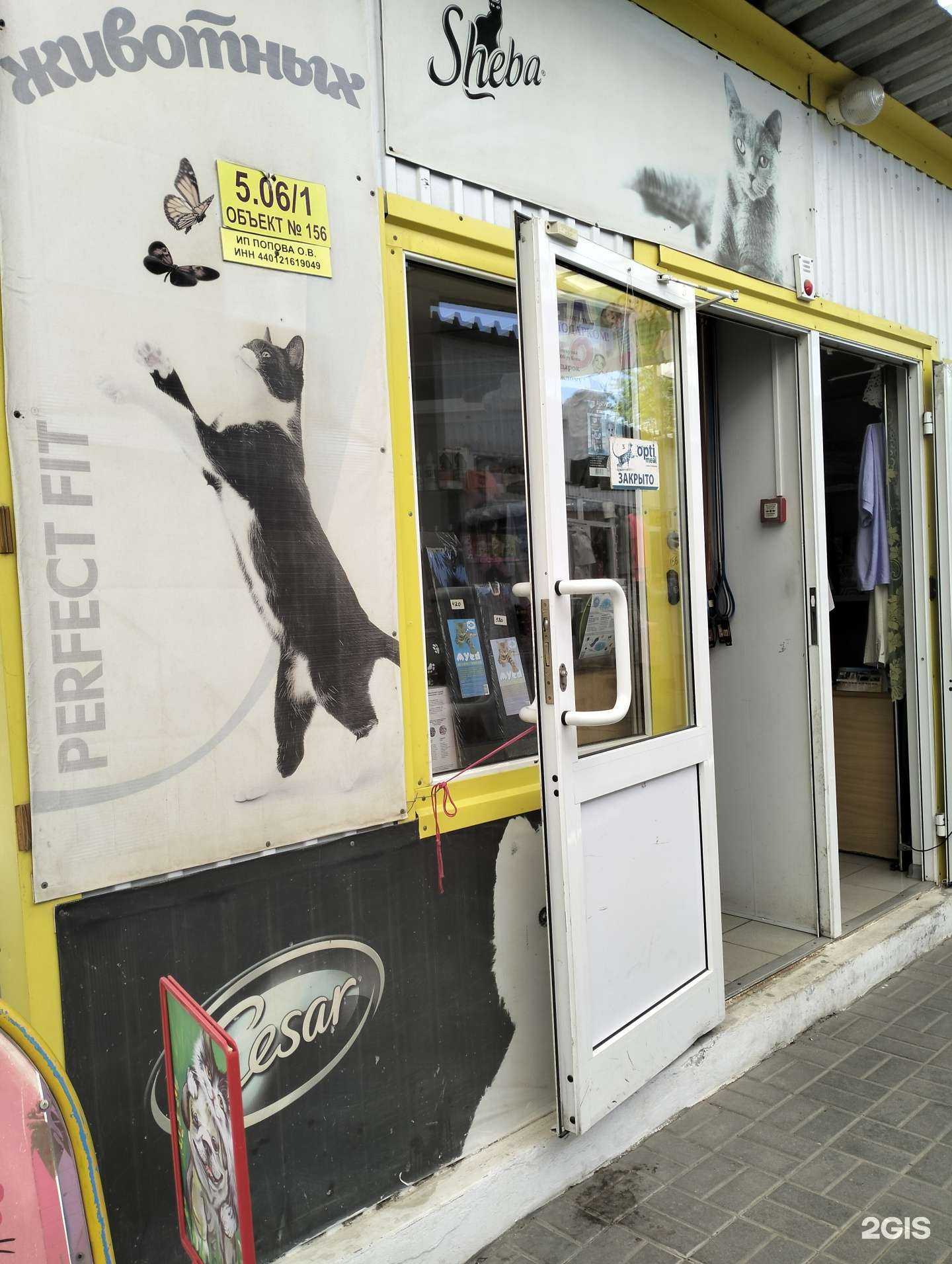 Отзывы на компанию Багира в Волгограде c фото