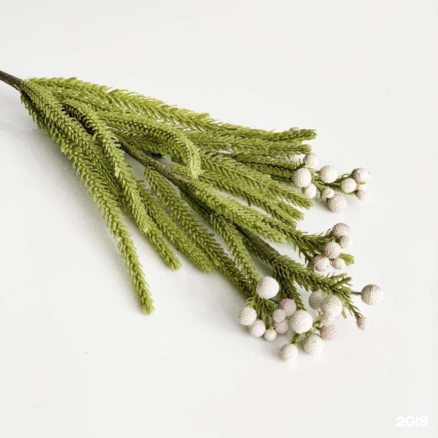 Отзывы на компанию Mady rose в Иркутске c фото