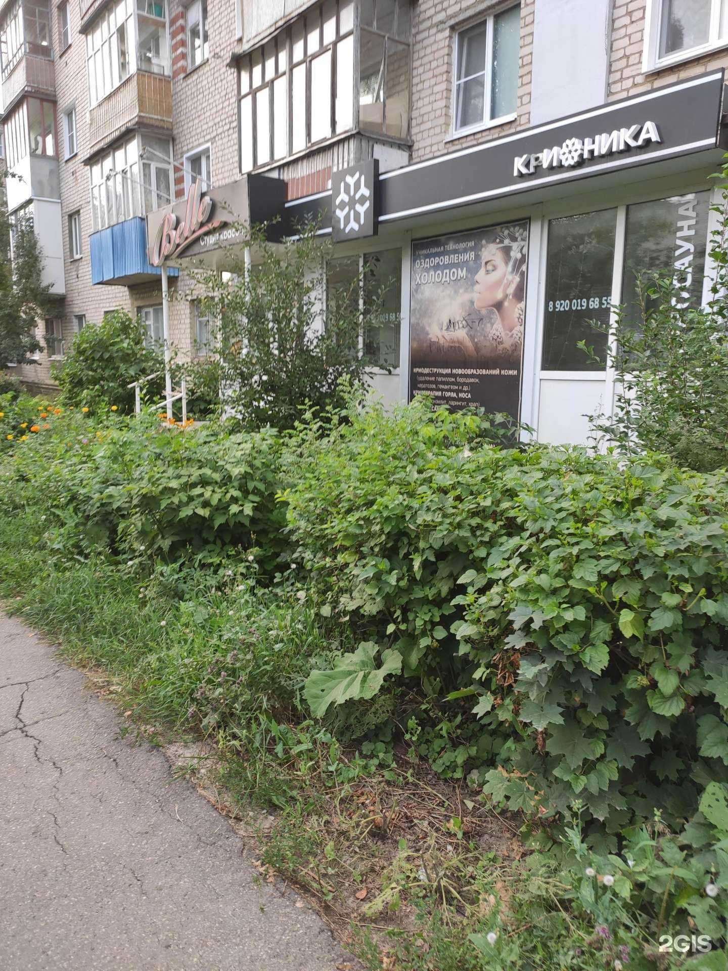 Отзывы на компанию Вelle в Арзамасе c фото