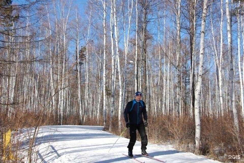 Отзывы на компанию Динамо в Чите c фото