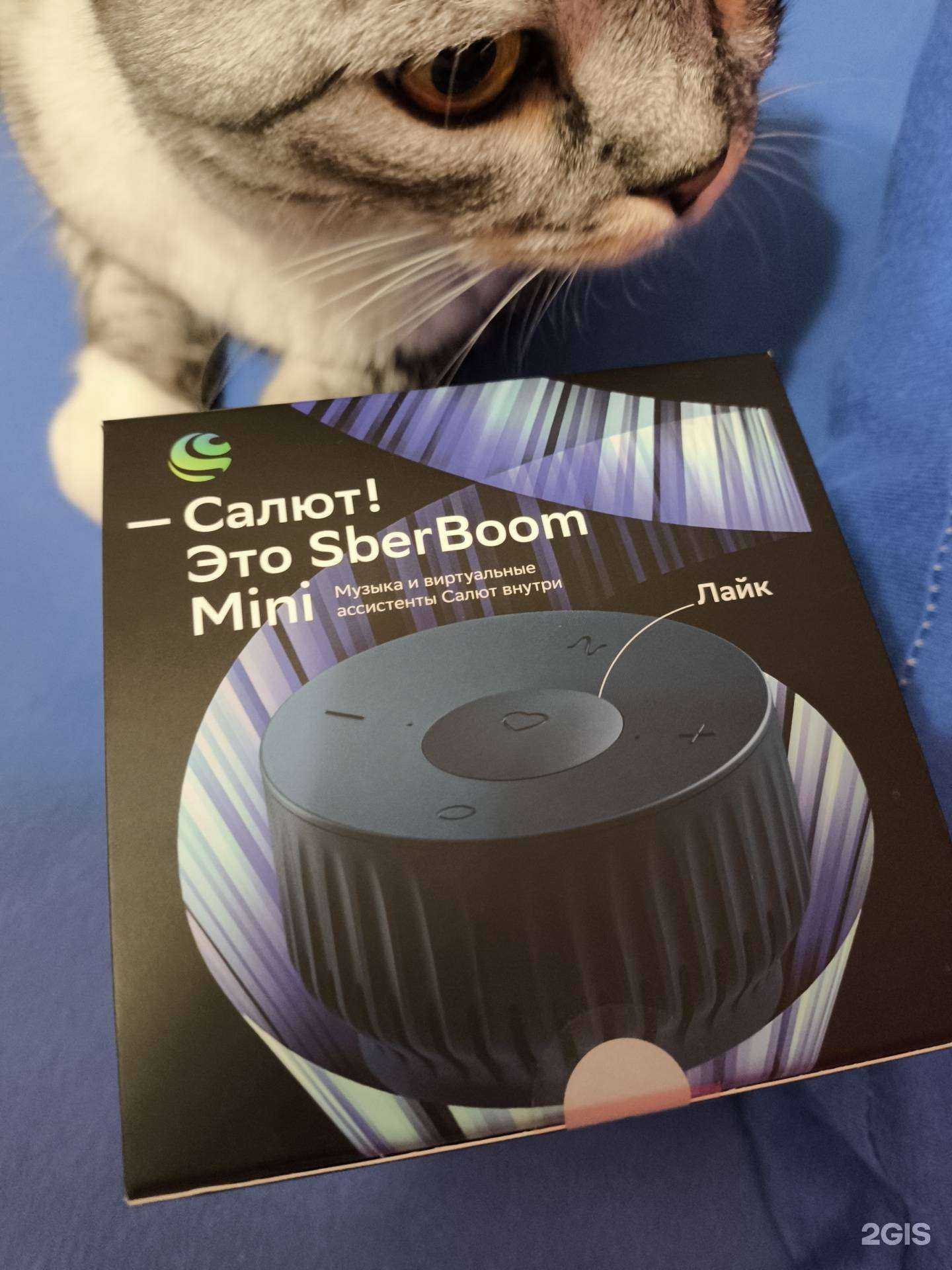 Отзывы на компанию М.Видео в Красноярске c фото