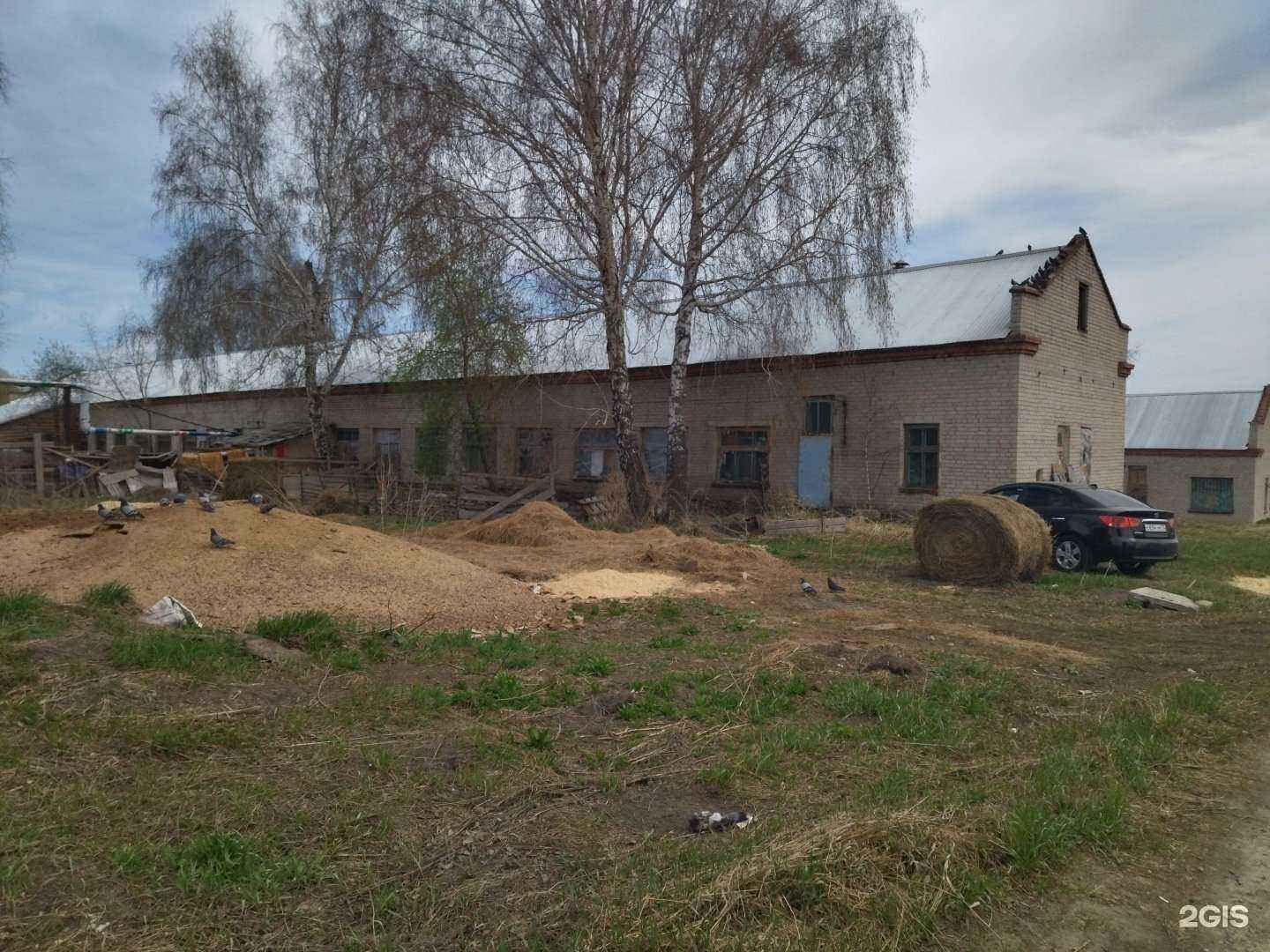 Отзывы на компанию Цех 17 в Томске c фото - фотография 2 из 2