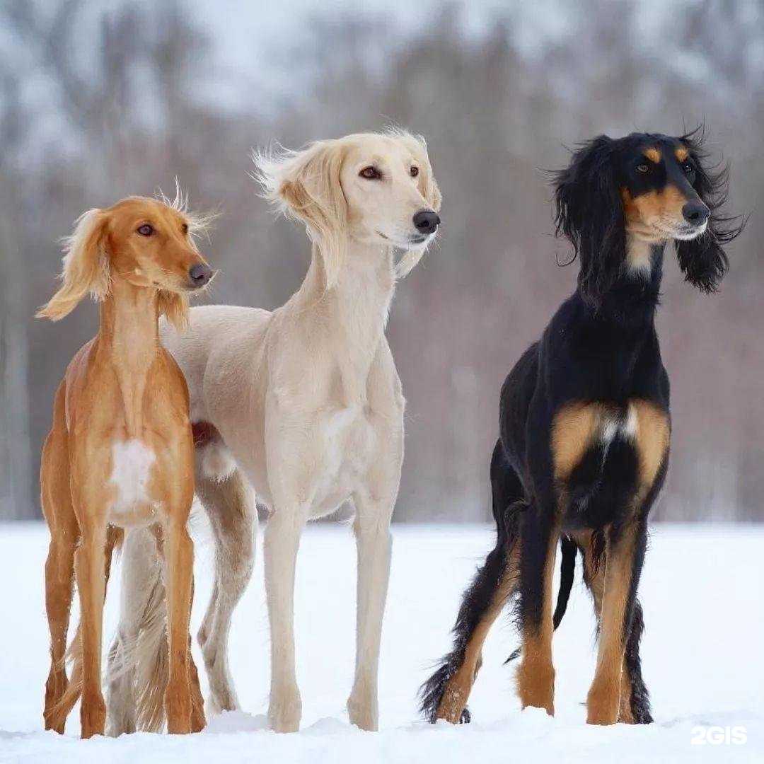 Отзывы на компанию Амиго в г. Иркутск c фото