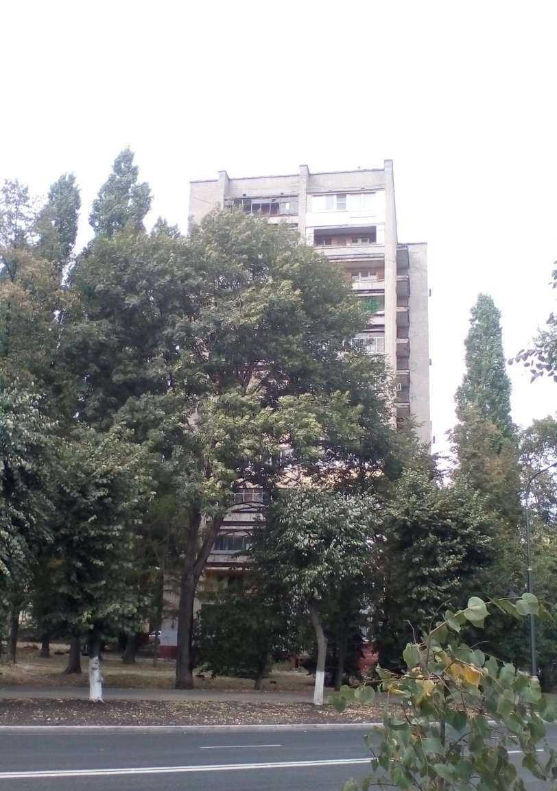 Отзывы на компанию Новая оптика в Липецке c фото - фотография 2 из 2