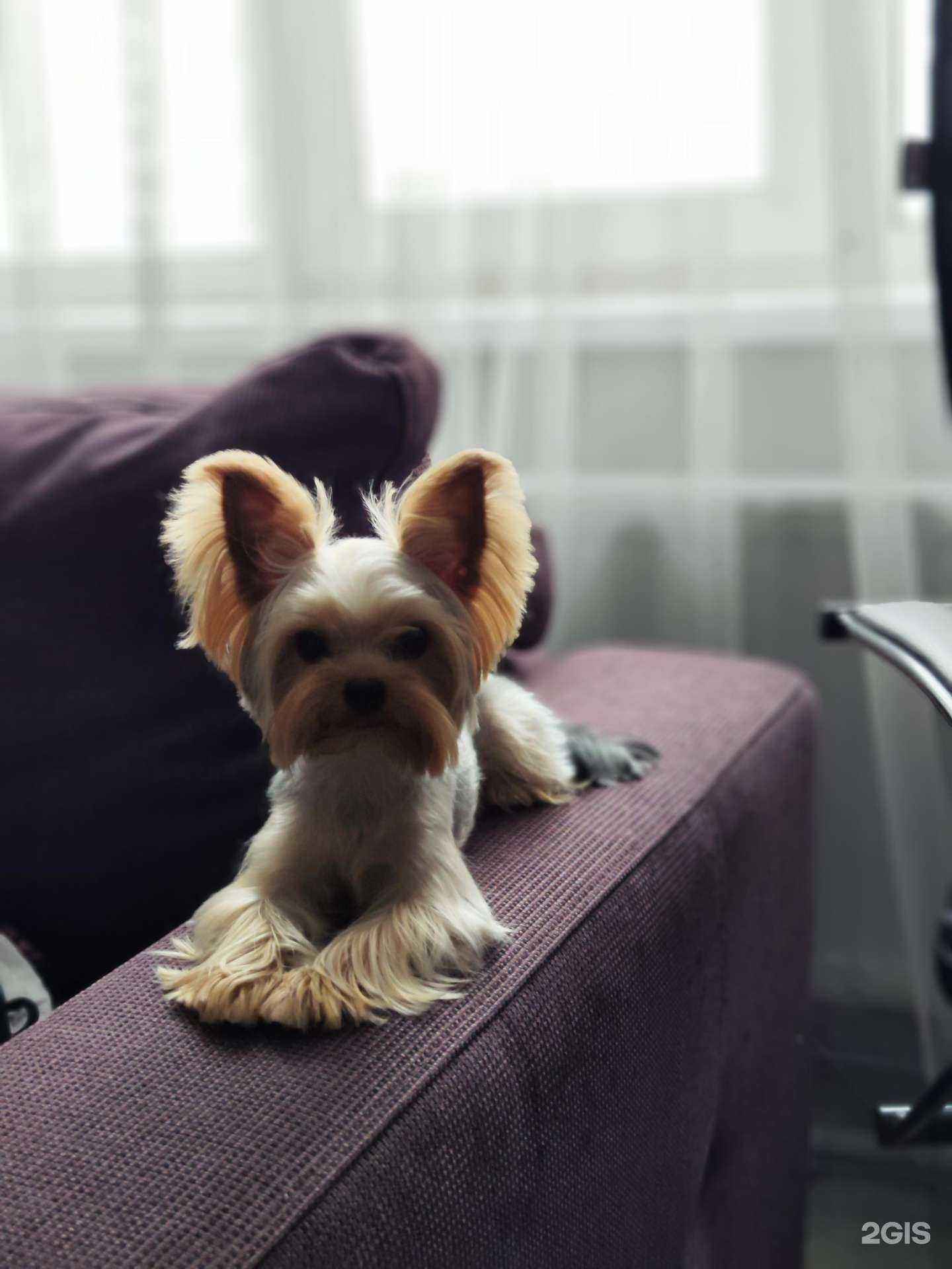 Отзывы на компанию Оберег 54 в г. Новосибирск c фото