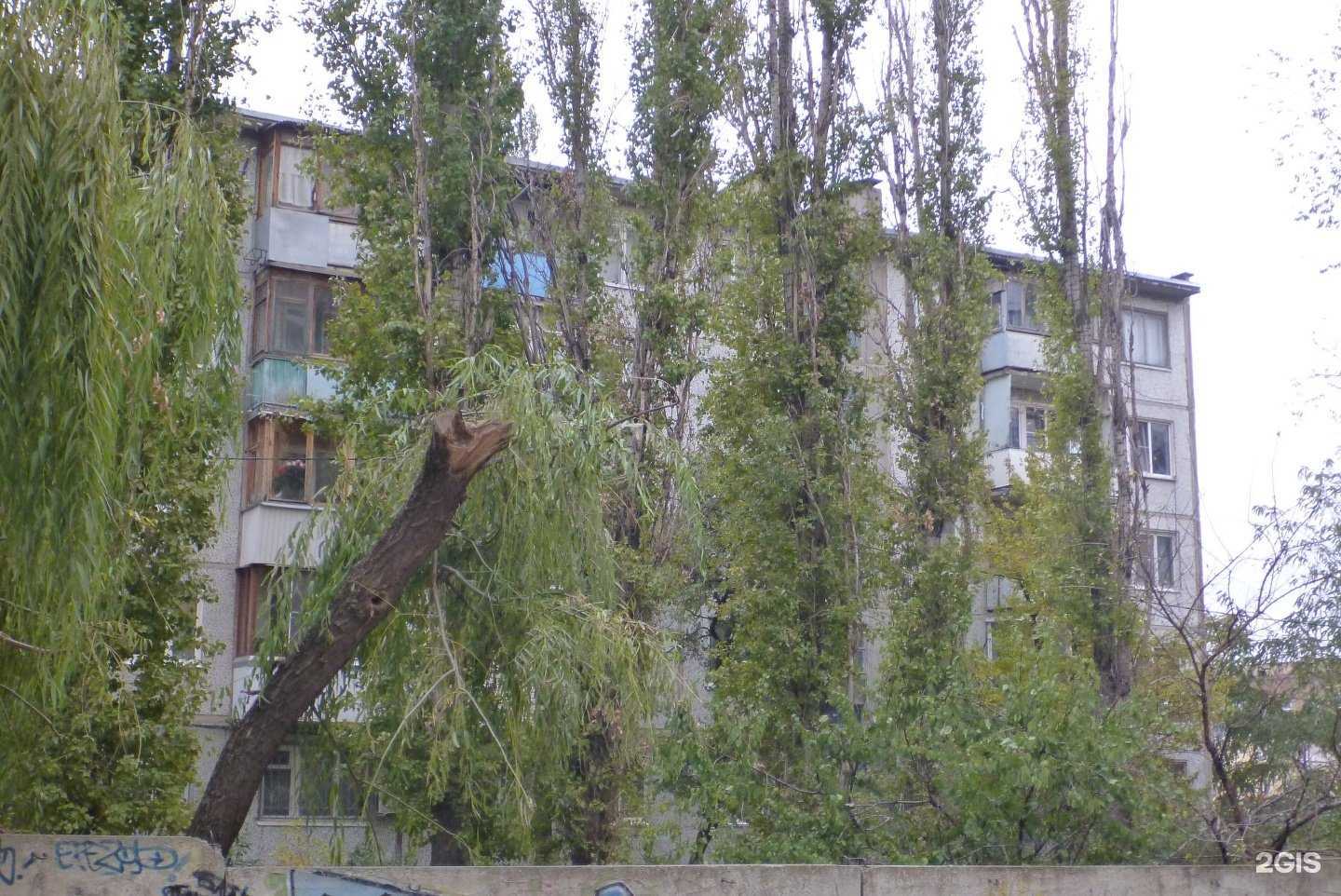 Отзывы на компанию Фантазия в Волгограде c фото