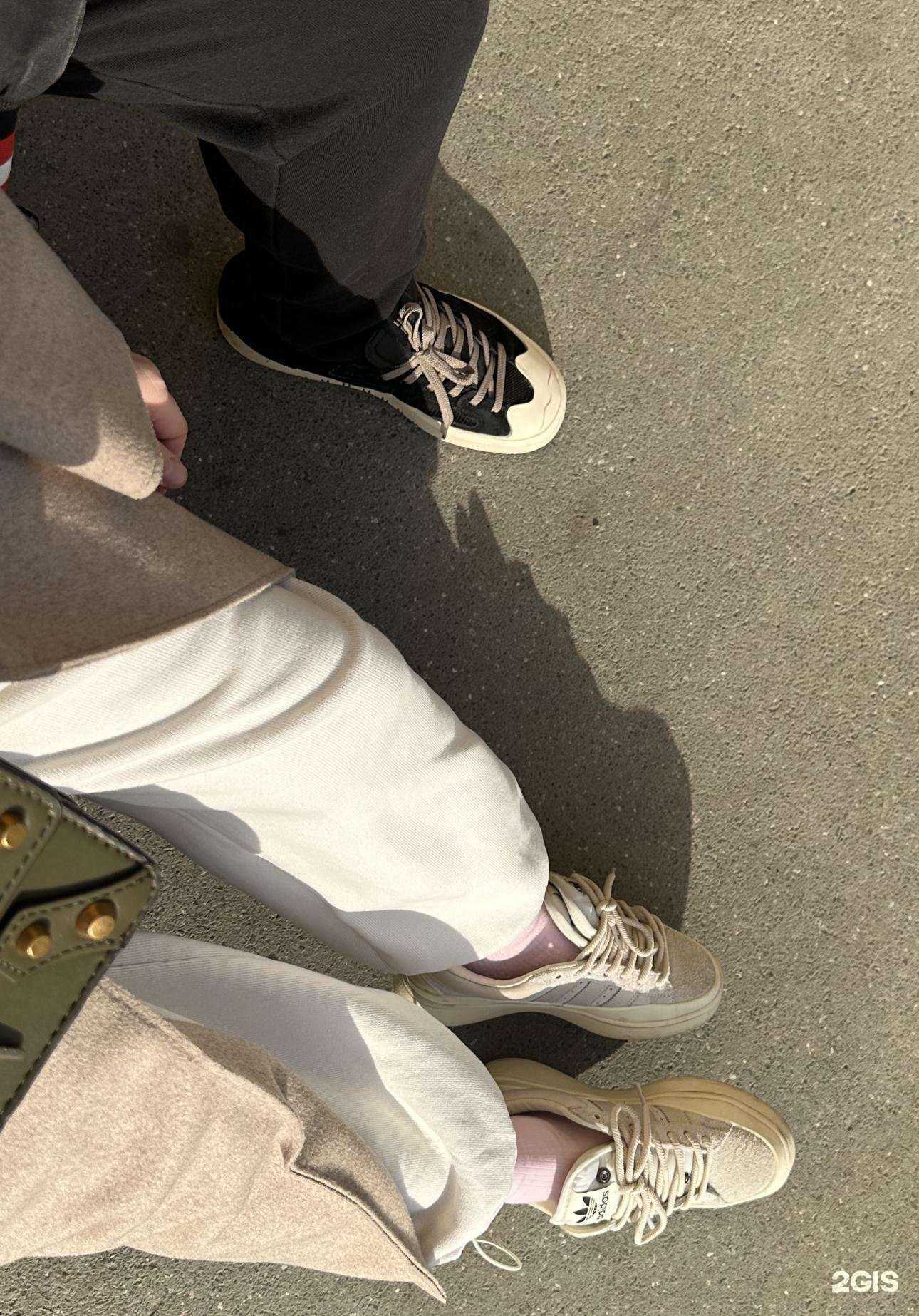 Отзывы на компанию Shuz в Новосибирске c фото