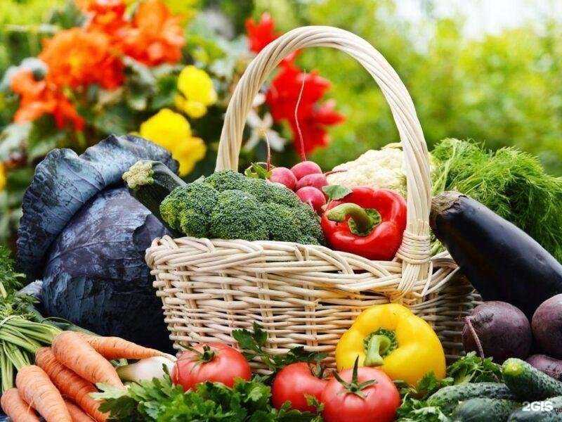 Отзывы на компанию Садовод в Воронеже c фото