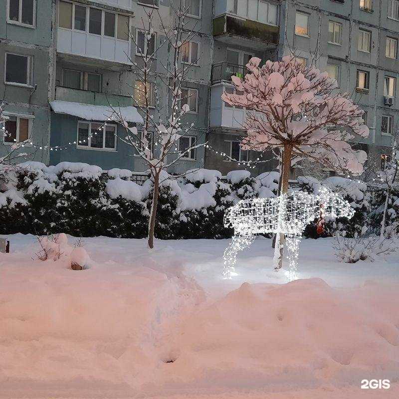 Отзывы на компанию Детский сад №51 в Калининграде c фото