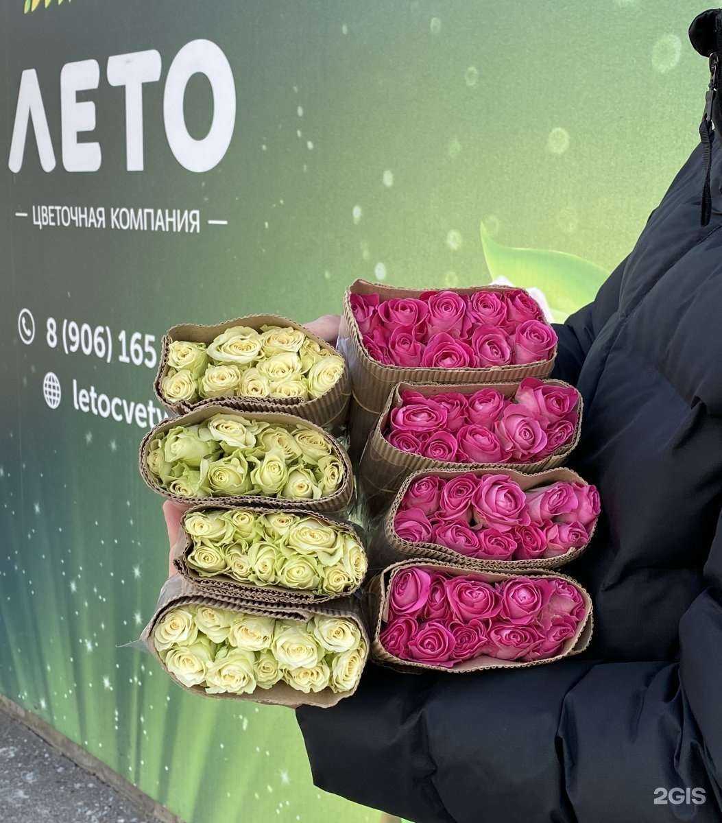 Отзывы на компанию Лето в Волжском c фото