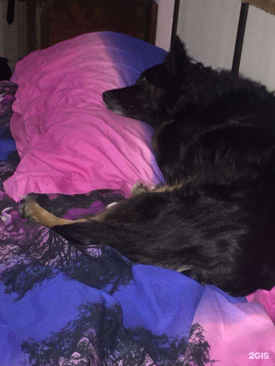 Отзывы на компанию Барбос в г. Оренбург c фото