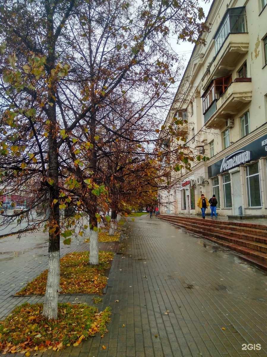 Отзывы на компанию Кормед в Челябинске c фото - фотография 2 из 2