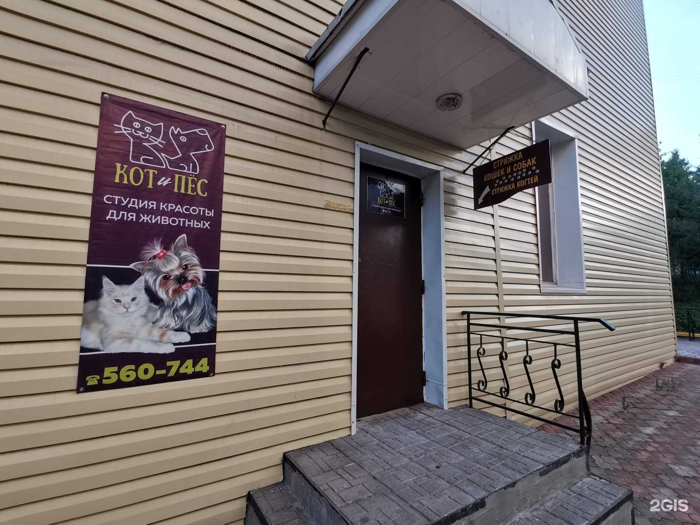 Отзывы на компанию Кот и Пес в Сыктывкаре c фото