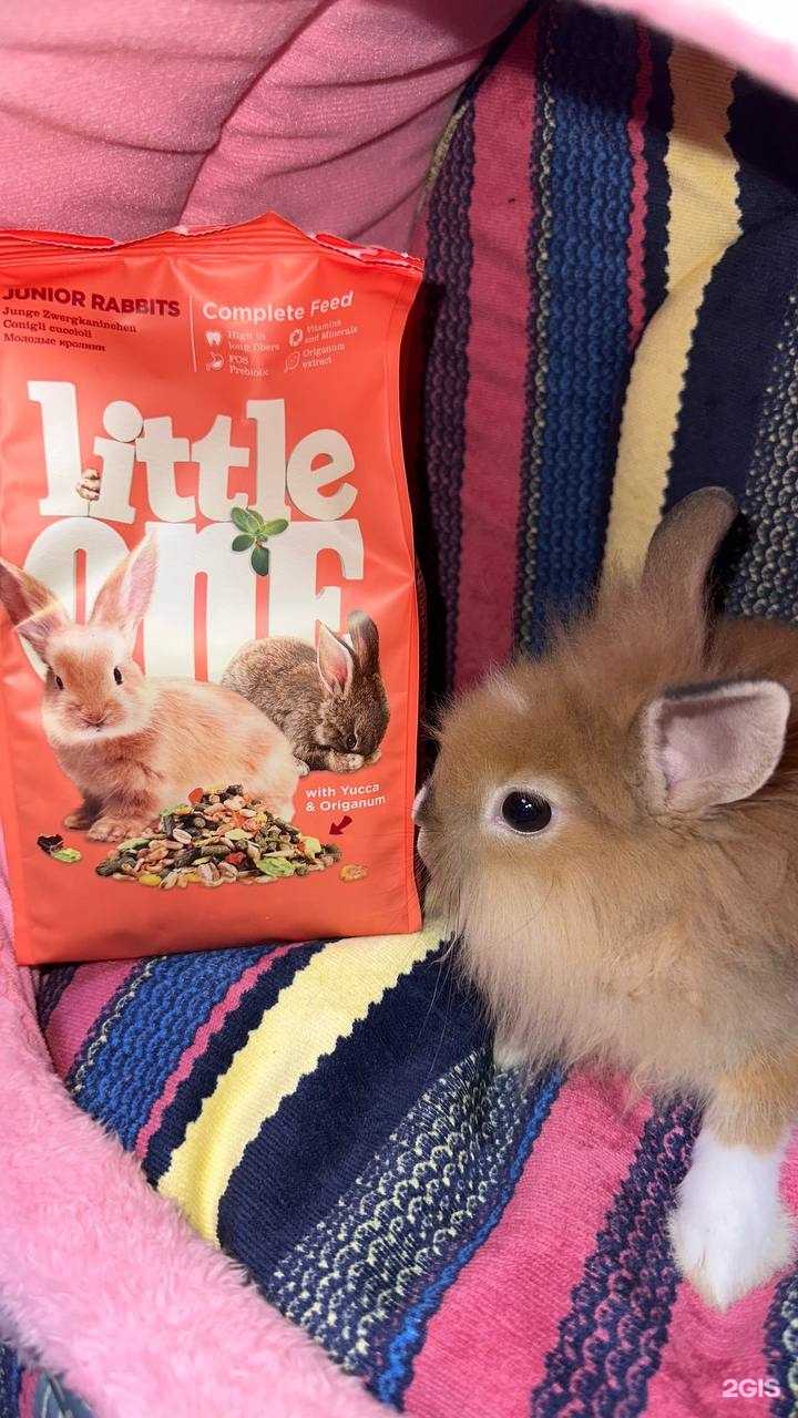 Отзывы на компанию Зоомир в Копейске c фото