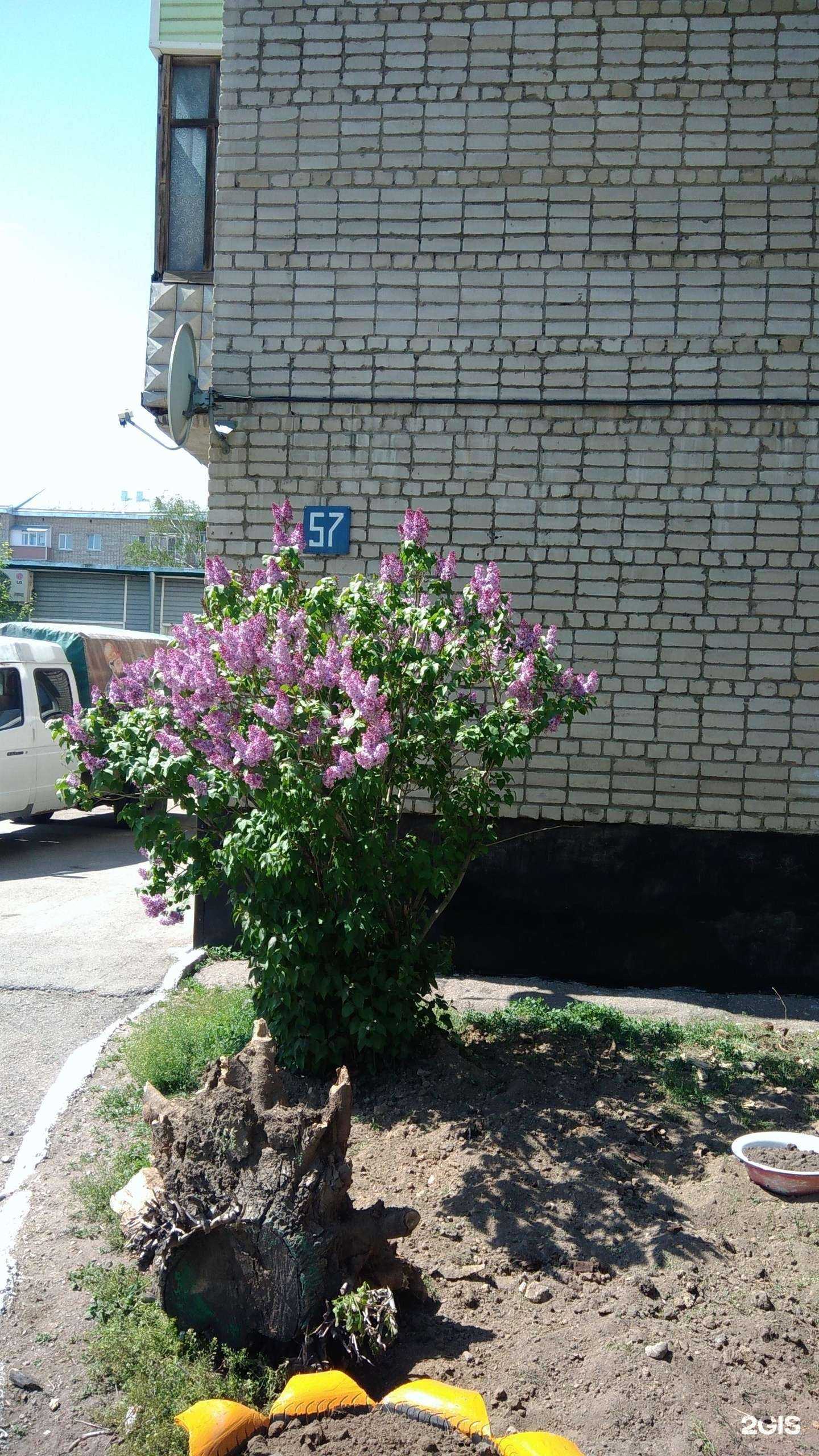 Отзывы на компанию Адвокатский кабинет Карамышева В.Е. в Рубцовске c фото - фотография 2 из 2