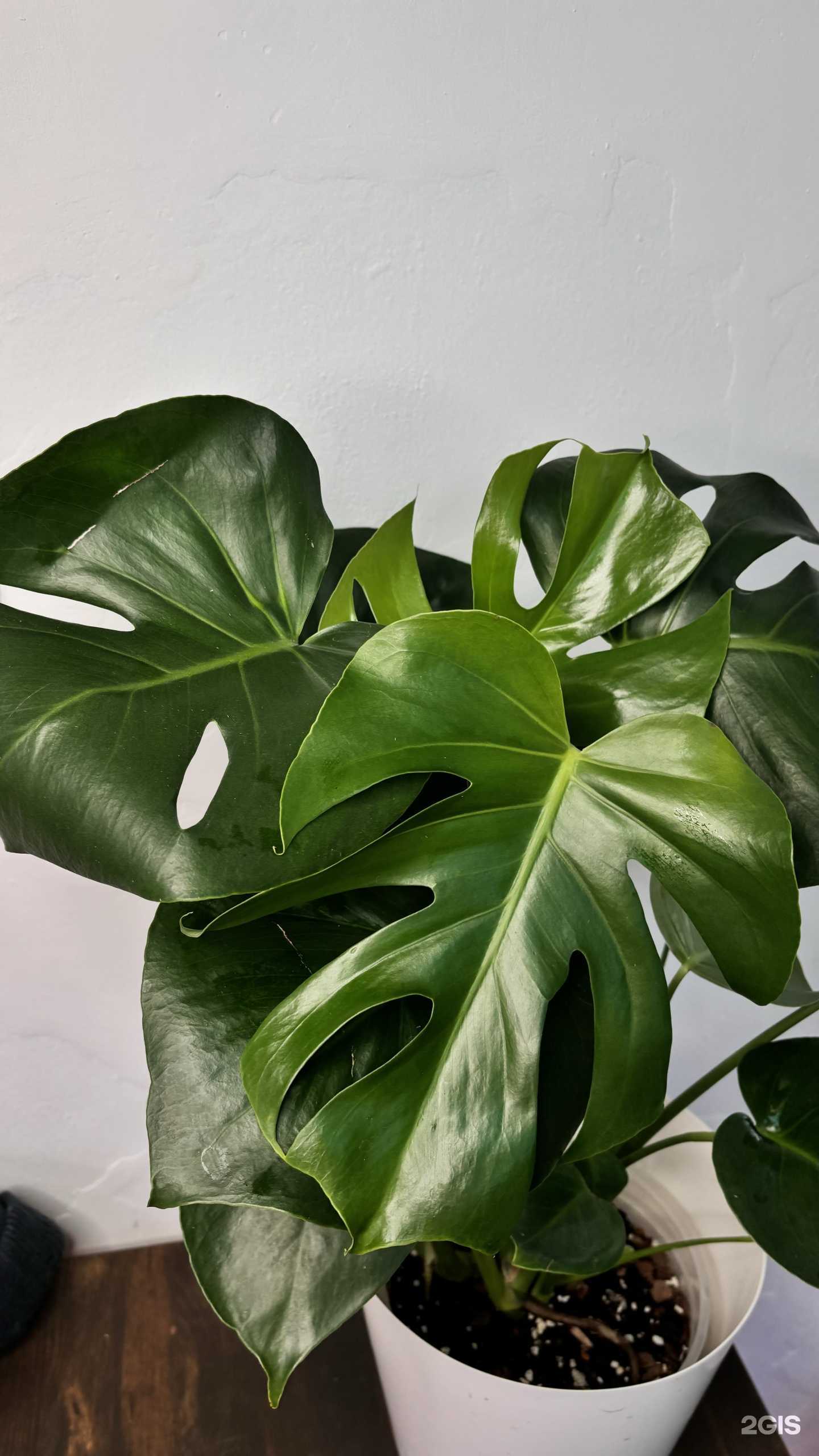 Отзывы на компанию Июль в г. Самара c фото