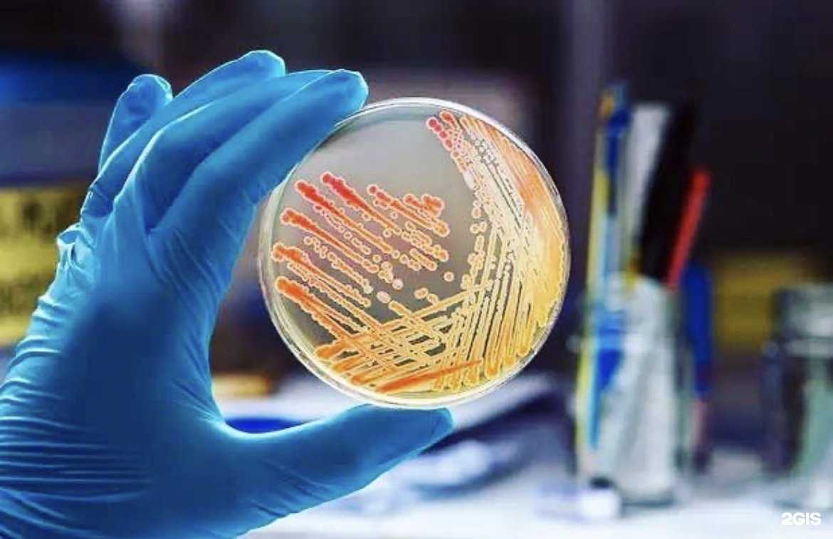 Отзывы на компанию Федеральный центр оценки безопасности и качества продукции агропромышленного комплекса в Ставрополе c фото