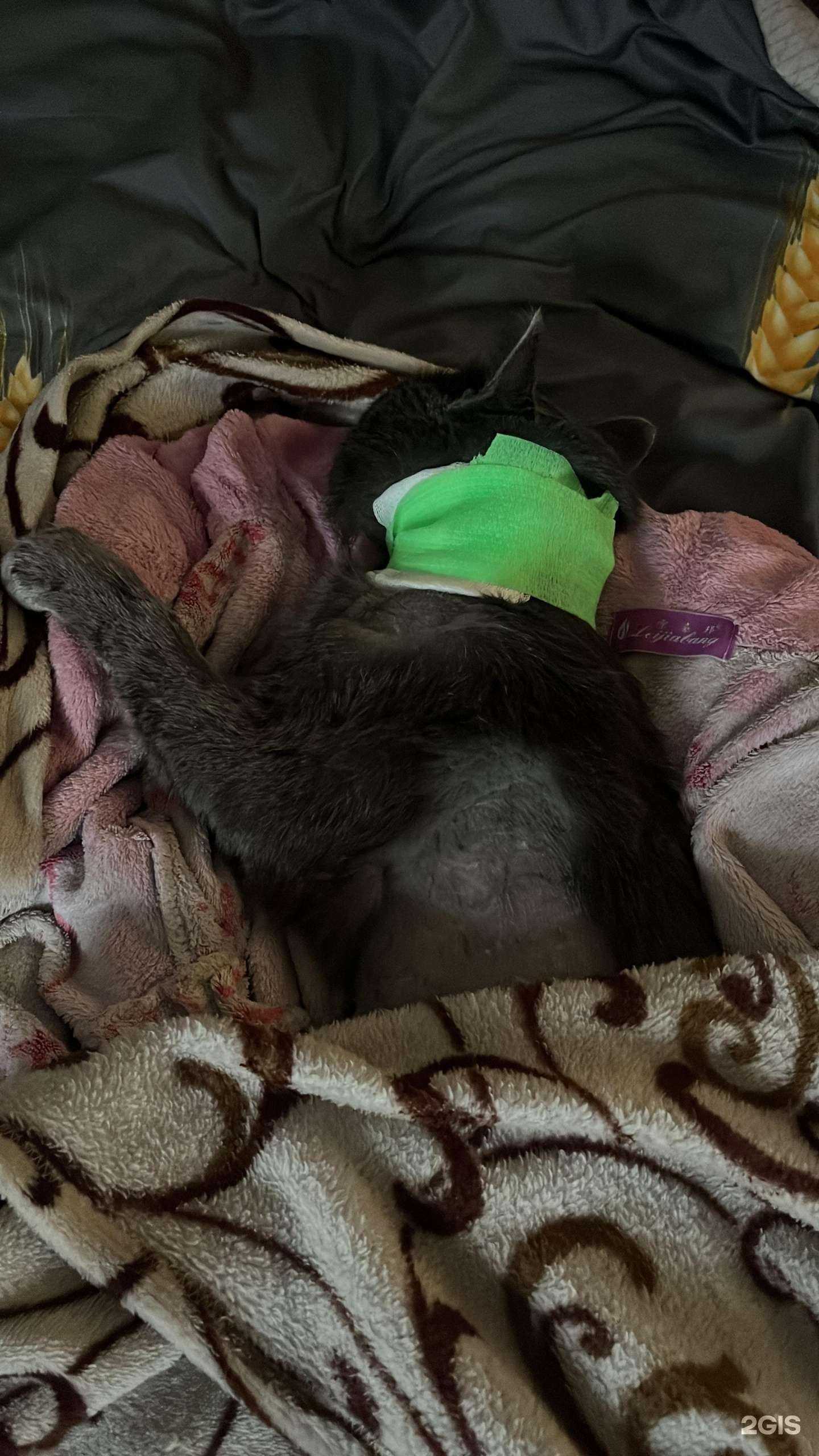 Отзывы на компанию Амикус в г. Красноярск c фото