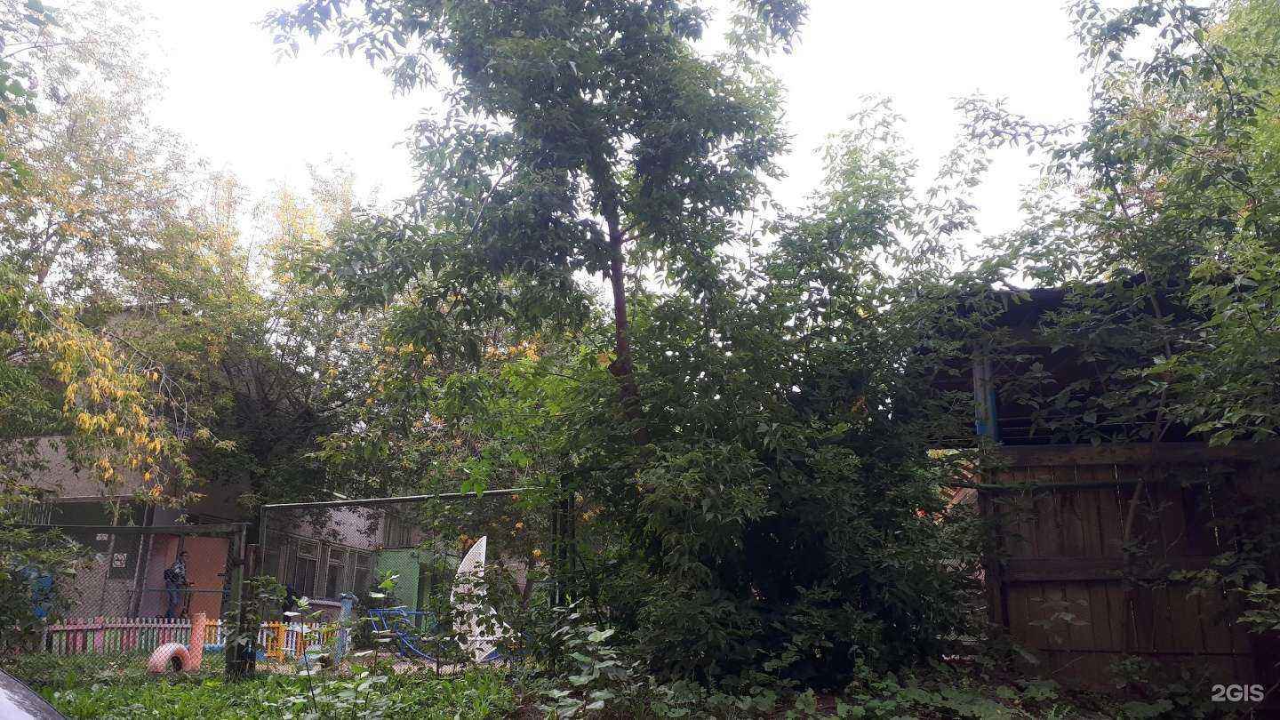 Отзывы на компанию Детский сад №184 в Екатеринбурге c фото