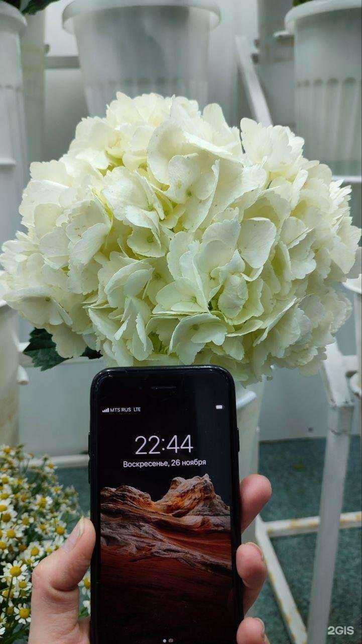 Отзывы на компанию А цветы в г. Ангарск c фото