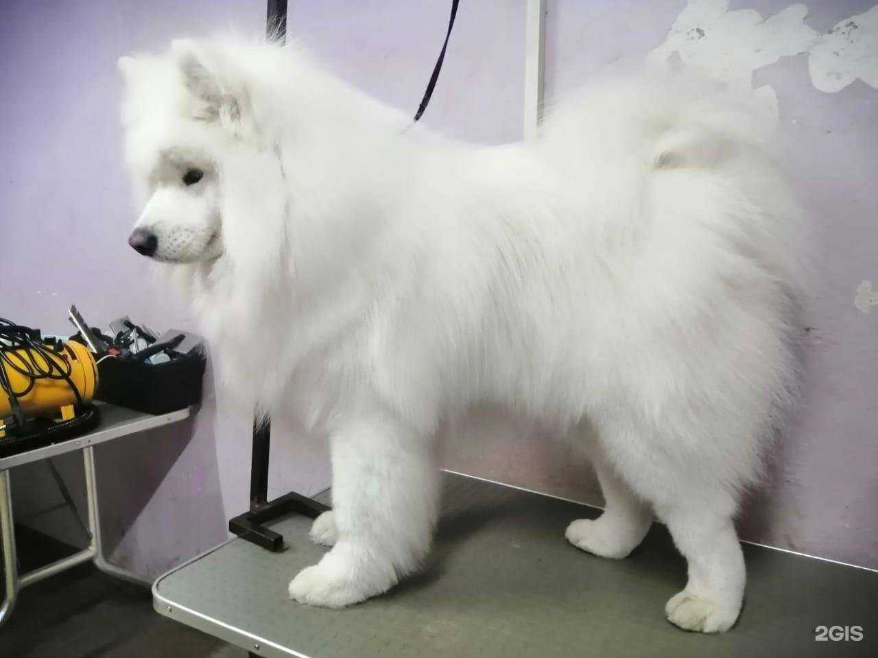 Отзывы на компанию Студия aрт@ в г. Челябинск c фото