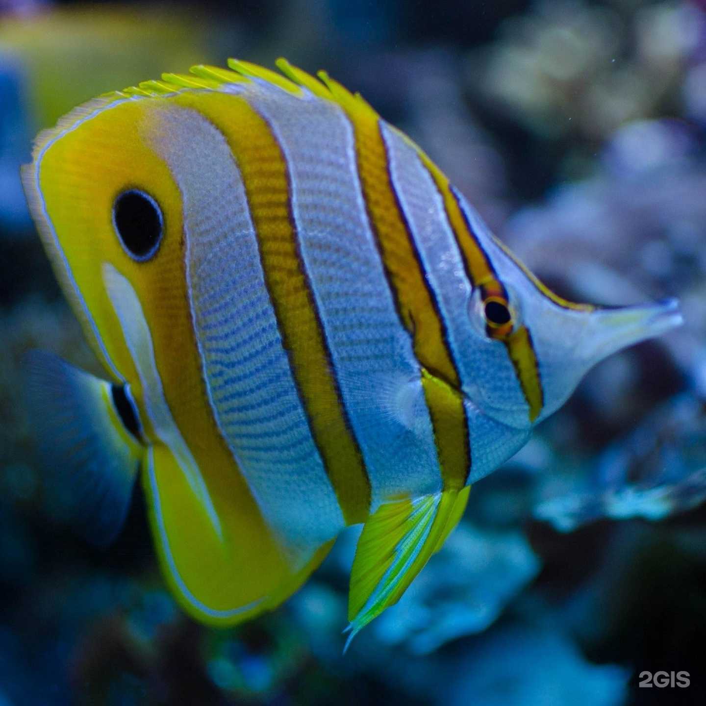 Отзывы на компанию Bvreef в г. Воронеж c фото