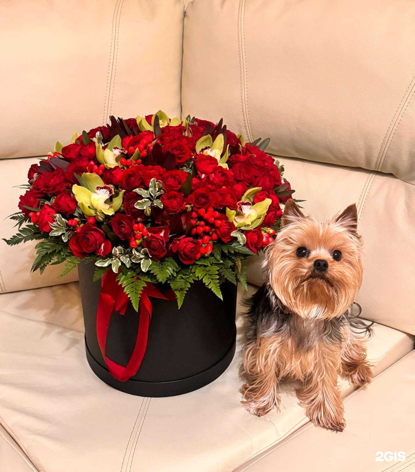 Отзывы на компанию Flori48 в Липецке c фото